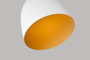 Photo downlight